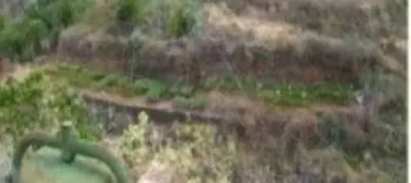 Terrain à Santa Ursula, Spain 288m² No. 172537 31