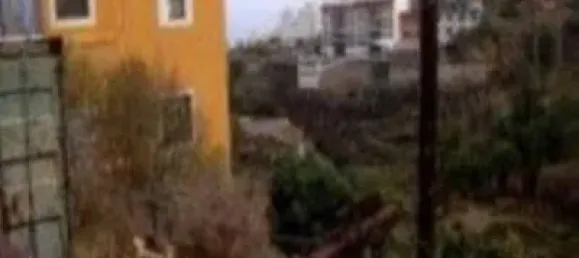 Terrain à Santa Ursula, Spain 288m² No. 172537 30