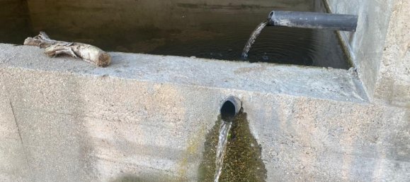  Land in Marco de Canaveses, Portugal No. 56102 6