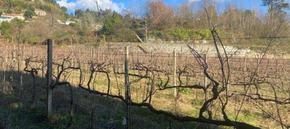  Land in Marco de Canaveses, Portugal No. 56102 16