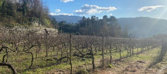  Land in Marco de Canaveses, Portugal No. 56102 10