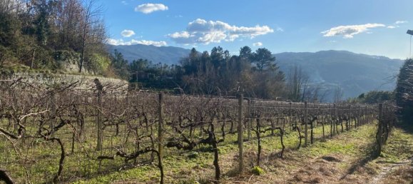  Land in Marco de Canaveses, Portugal No. 56102 8