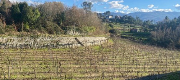  Land in Marco de Canaveses, Portugal No. 56102 12