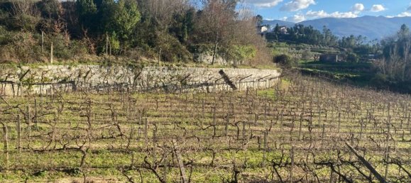  Land in Marco de Canaveses, Portugal No. 56102 15