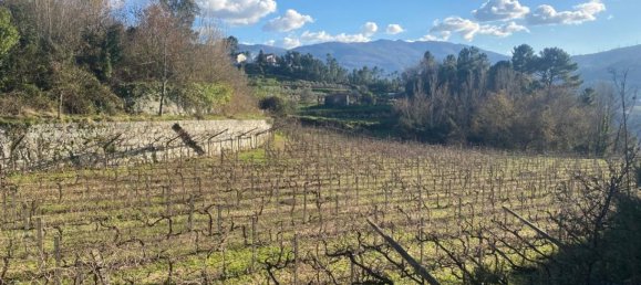  Land in Marco de Canaveses, Portugal No. 56102 18