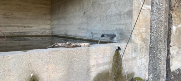  Land in Marco de Canaveses, Portugal No. 56102 9