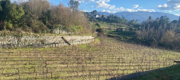  Land in Marco de Canaveses, Portugal No. 56102 7