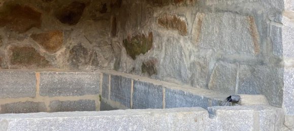  Land in Marco de Canaveses, Portugal No. 56102 17