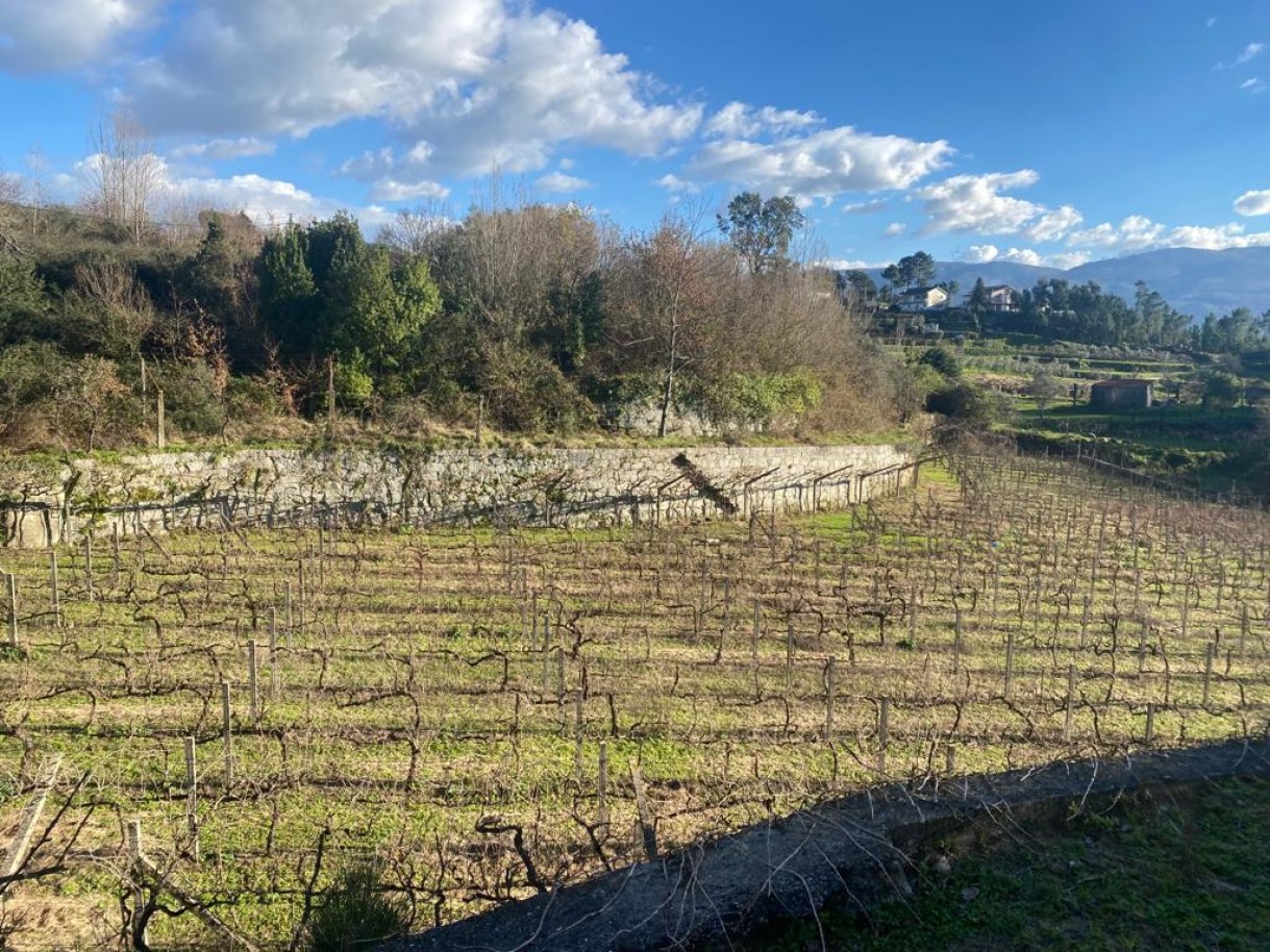  Land in Marco de Canaveses, Portugal No. 56102