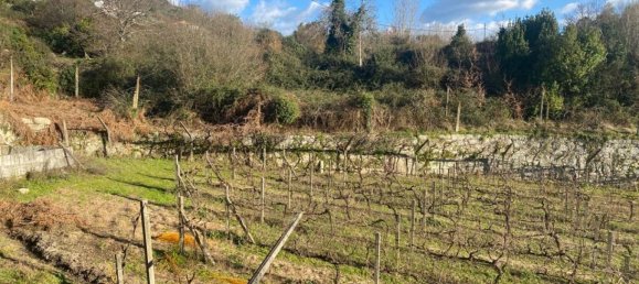  Land in Marco de Canaveses, Portugal No. 56102 14