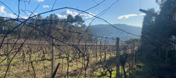  Land in Marco de Canaveses, Portugal No. 56102 19