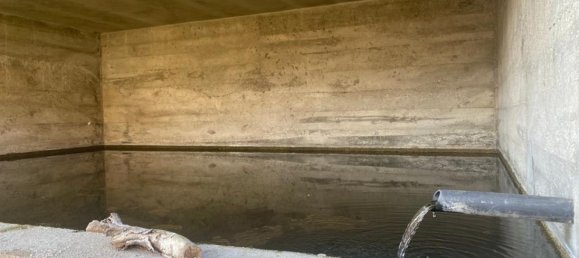  Land in Marco de Canaveses, Portugal No. 56102 3