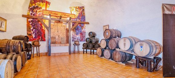 2000m² Building in Huetor Vega, Spain No. 169011 12