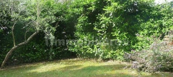 4 bedrooms Villa in Massa, Italy No. 216482 4