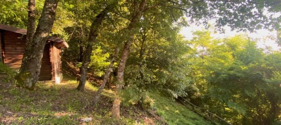 4غرفة فيلا في Cantalupo Ligure, Italy رقم 132911 14