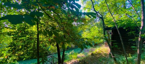 4غرفة فيلا في Cantalupo Ligure, Italy رقم 132911 17