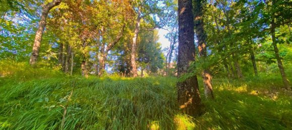 4غرفة فيلا في Cantalupo Ligure, Italy رقم 132911 16