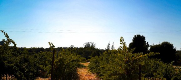 3 Schlafzimmer Haus in Vila de Frades, Portugal, Nr. 222755 3