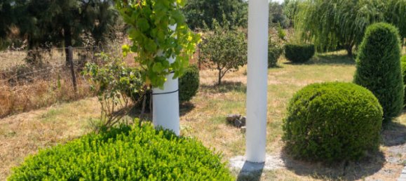 3 Schlafzimmer Haus in Vila de Frades, Portugal, Nr. 222755 24