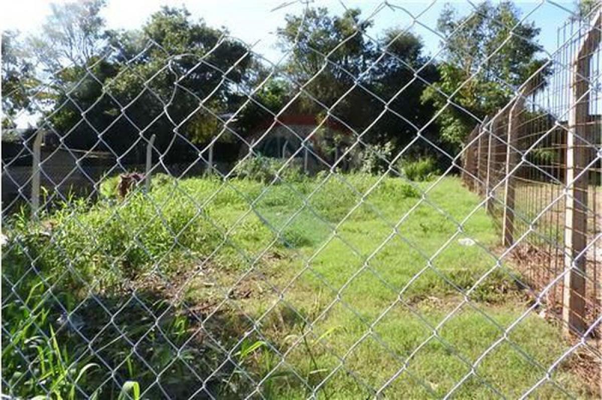  Land in Misiones, Argentina No. 50647