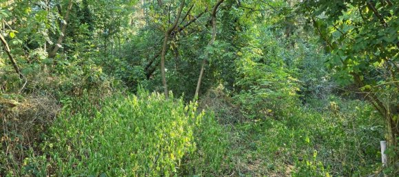 5-Zimmer Haus in Stadtschlaining, Austria, Nr. 221188 30