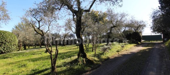 6 bedrooms Villa in Buggiano, Italy No. 45950 37