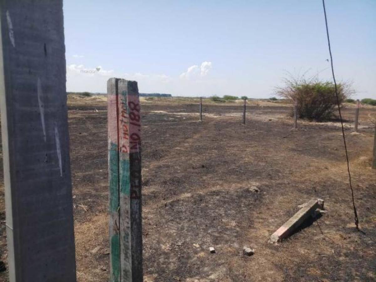 Grundstück in Chennai, India, Nr. 34283