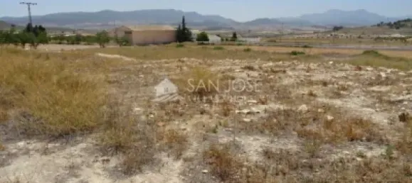 6 Schlafzimmer Haus in Jumilla, Spain, Nr. 114827 11