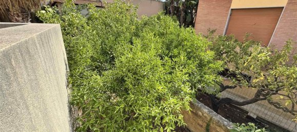 2 chambres Maison à Custonaci, Italy No. 296589 5