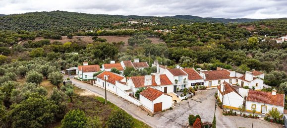 7 bedrooms House in Evora, Portugal No. 162665 3