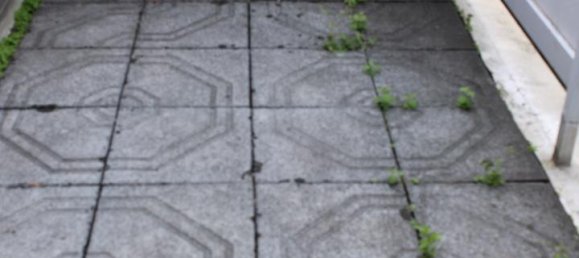 2-Zimmer Gebäude in Stormarn, Germany, Nr. 237315 5