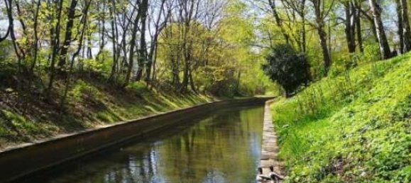 3-Zimmer Wohnung in Gesundbrunnen, Germany, Nr. 21408 17
