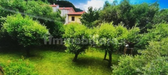 4 Schlafzimmer Wohnung in Massa, Italy, Nr. 51512 14