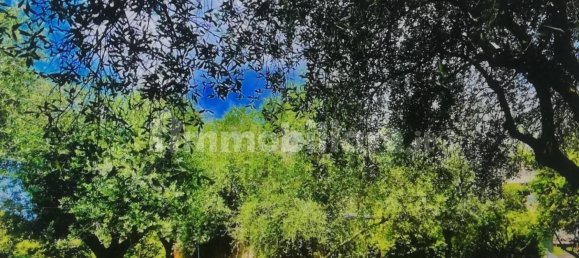 4 Schlafzimmer Wohnung in Massa, Italy, Nr. 51512 4