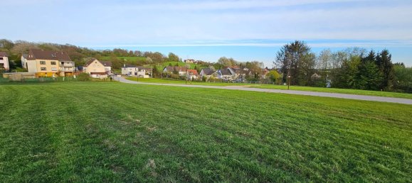 Terreno en Sankt Wendel, Germany No. 33348 2