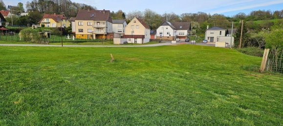 Terreno en Sankt Wendel, Germany No. 33348 4