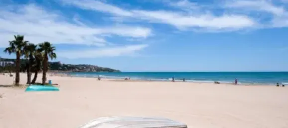 Gewerbliche Immobilie in Castellon, Spain 140m², Nr. 147236 20