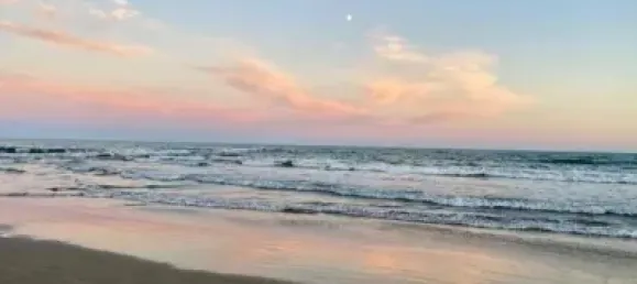 Gewerbliche Immobilie in Castellon, Spain 140m², Nr. 147236 12