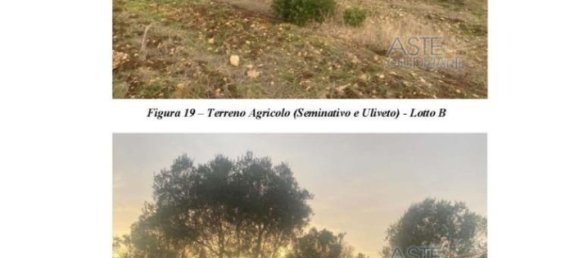 Земельный участок 30440м² в Nardò, Италия № 30876 4