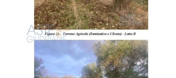 Земельный участок 30440м² в Nardò, Италия № 30876 3