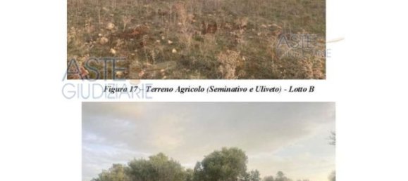Земельный участок 30440м² в Nardò, Италия № 30876 2