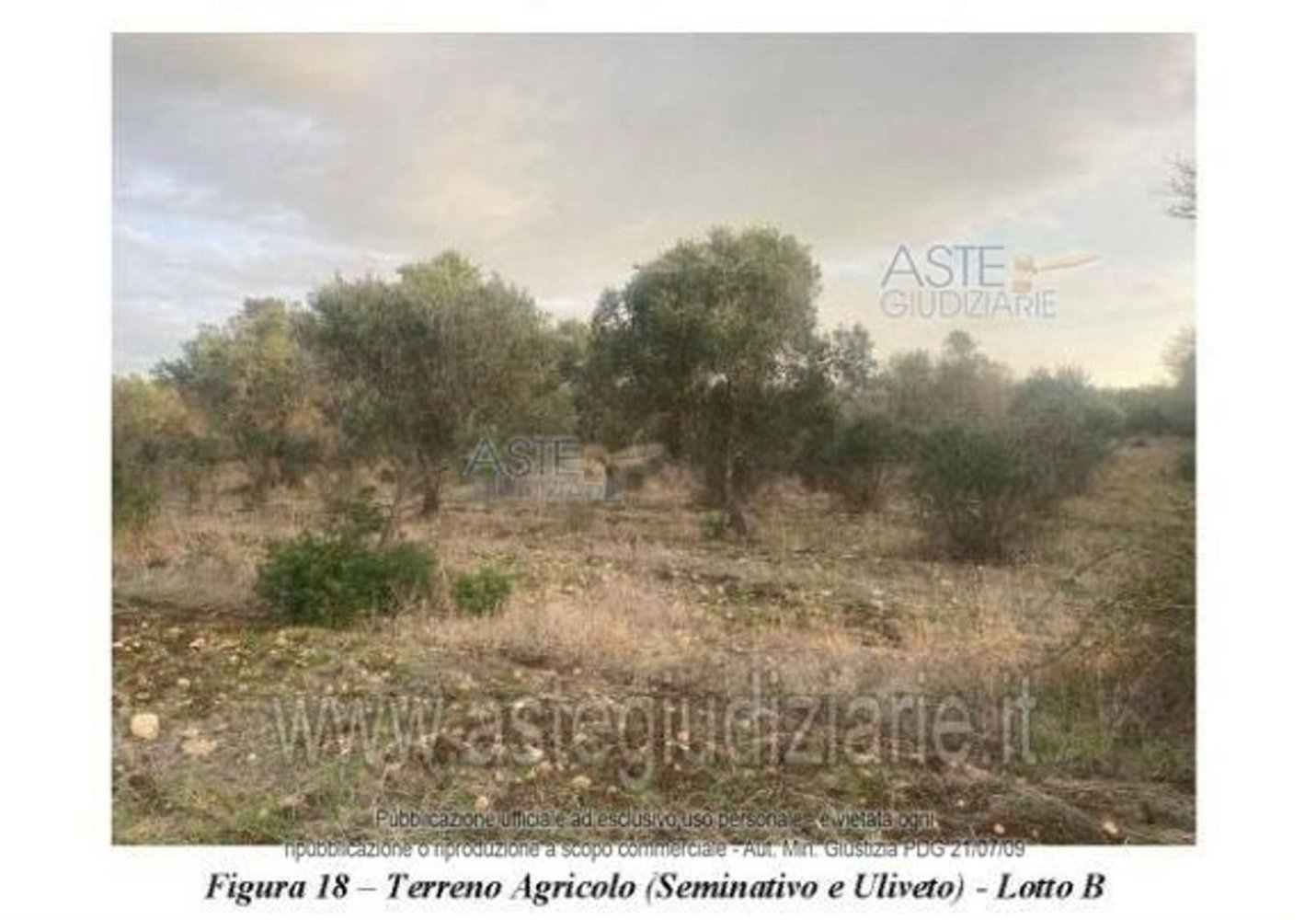  قطعة أرض في Nardò, Italy 30440متر مربع رقم 30876