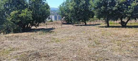 Grundstück in Giarre, Italy 600m², Nr. 286645 8