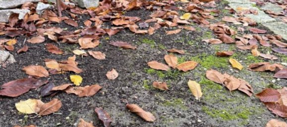 3 bedrooms Villa in Senigallia, Italy No. 351519 33