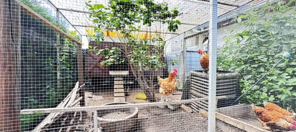 2 bedrooms House in Luneville, France No. 61967 15