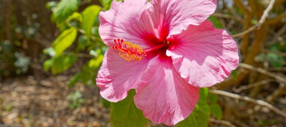 3 chambres Villa à Alicante, Spain No. 135703 37