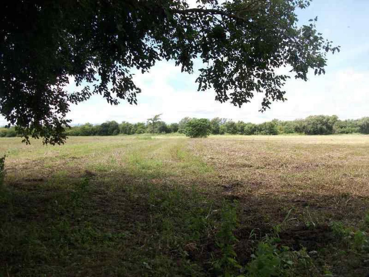  Land in Cordoba, Argentina No. 43566
