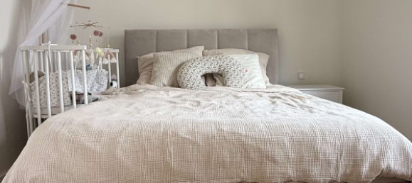 3 غرف نوم منزل في Mainz-Bingen, Germany رقم 322430 20