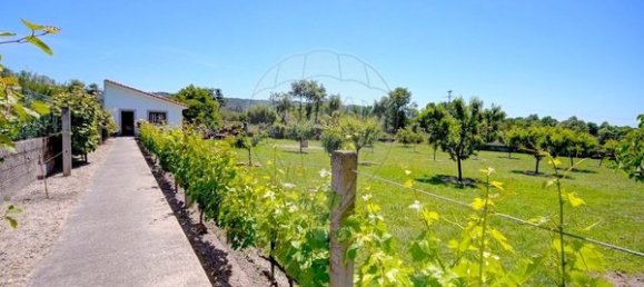 4 غرف نوم منزل في Lama de Arcos, Portugal رقم 183120 41