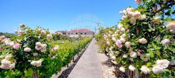 4 غرف نوم منزل في Lama de Arcos, Portugal رقم 183120 36